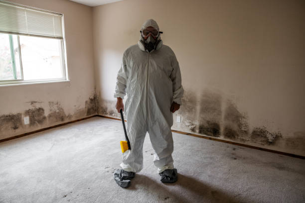 Best Residential Mold Removal  in Cudjoe Key, FL